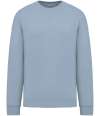 NS407 Oversized Sweatshirt Aquamarine colour image